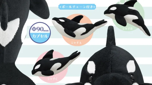 かわいい かわいい ぬいぐるみ BIG シャチ 全3種
