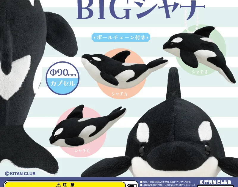 かわいい かわいい ぬいぐるみ BIG シャチ 全3種