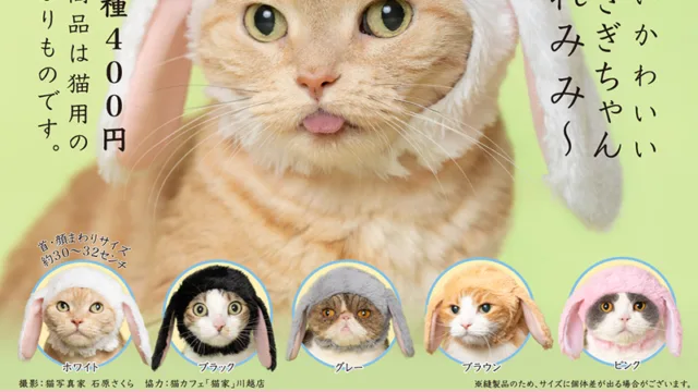 かわいい かわいい ねこうさぎちゃん たれみみ 全5種