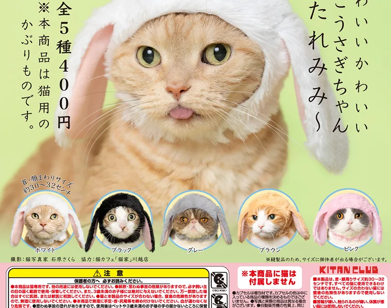 かわいい かわいい ねこうさぎちゃん たれみみ 全5種