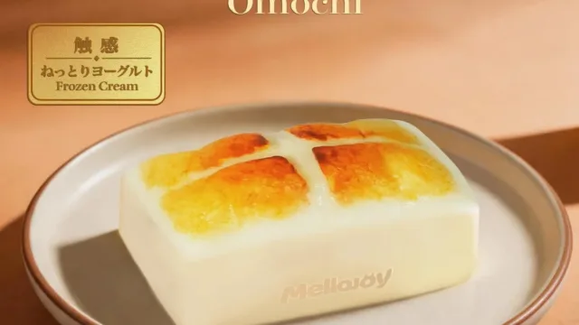 メロジョイ お餅【Z019-2】｜1,899円・焼き餅をかたどったスクイーズ