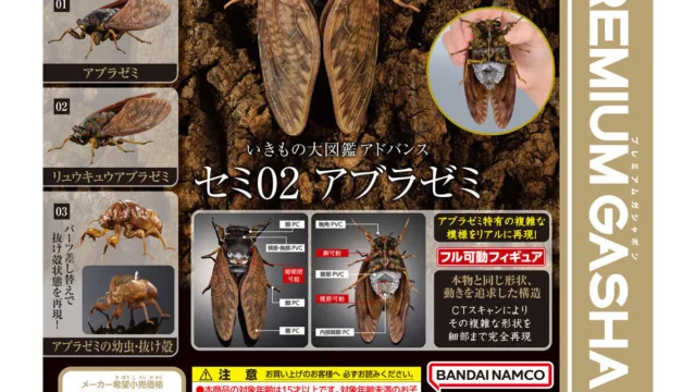 「いきもの大図鑑アドバンス セミ02 アブラゼミ」|1,500円・全3種・約105mm