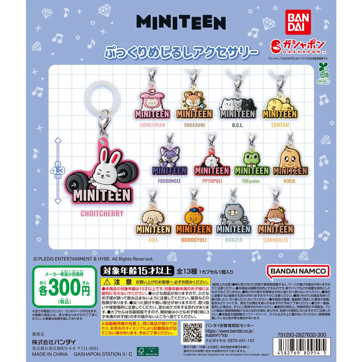 MINITEEN ぷっくりめじるしアクセサリー 全13種の台紙