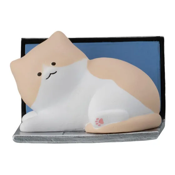 いたずらねこちゃあぁぁん こっち見てにゃ